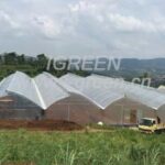 INVERNADEROS MULTI-SPAN